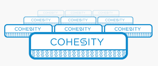 CohesityArchitecture